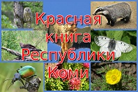 Путешествие по страницам Красной книги Республики Коми