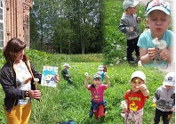 Одуванчик, лучик солнца