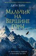 Мальчик на вершине горы: роман 12+ 