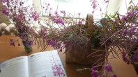 Каникулы продолжаются… 