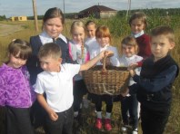 За грибами – в библиотеку.