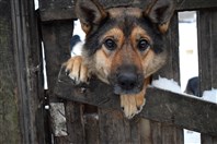Четыре часа добра и помощи.