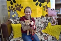 «Мартовский кот».