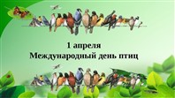 «Наши пернатые друзья».