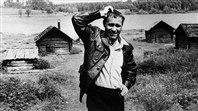 "Писатель, артист, режиссёр".