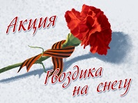 "Гвоздика на снегу"