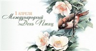Наши пернатые друзья.
