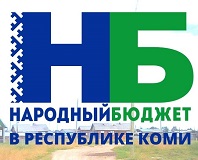 Народный бюджет в действии