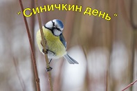 Синичкин день. Праздник пернатых друзей