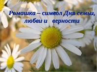 Ромашка — символ семьи, любви и света