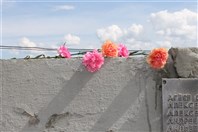 «Бессмертная память о войне»
