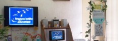  День Белых Журавлей 